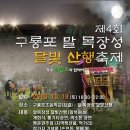 『제4회 -구룡포 말목장성 달빛산행 』 이미지