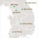 청태산 치유의 숲 이미지