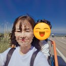 제주 9.81파크 아이랑 가볼만한곳 | 카트 솔직 후기 총정리