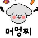 머멍찌