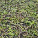 장양농장 이미지