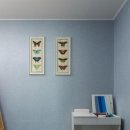 명동 선샤인 게스트하우스 이미지