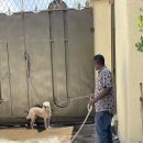 처음동물병원 이미지