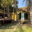 국민여가캠핑장 캠핑장 이미지