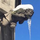 만기횟집 | 제주공항 근처 아침 일찍 여는 무 김치찌개 맛집 제주놈삐김치찌개 내돈내산 후기