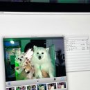 혜자호프 이미지