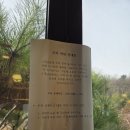 도안남로 | 대전맛집 명태조림맛집 가족모임 추천 어담 후기