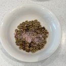 신진목장 | 강아지 동결건조 간식 추천! 첨가물 없는 펠스 로제 산양유 트릿