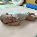 우돈종가 이미지