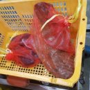 충무유통 네이버블로그