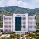 B동 이미지