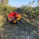 동부분소 이미지