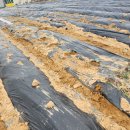 과림농장 이미지