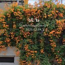 뚝섬한강공원-86 이미지