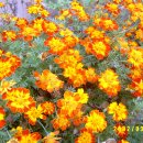 어유중학교 이미지