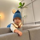모이몰른롯데백화점 이미지