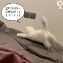 인월시장 야외 | My Love Will Be Yours