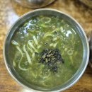 제주도 스타리아 렌트 제주 렌트카 기사포함 요금