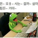 약손체형수기관리 이미지