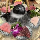 일경 | 대전 관평동 삼경횟집 | 참치회코스 일경세트 후기