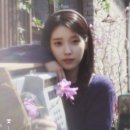 아이유 [꽃갈피 셋] Concept Photo #2 이미지