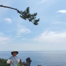 중문대포주상절리대 이미지