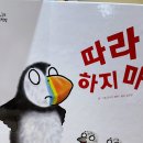 버니 이미지