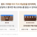 카페더크레마