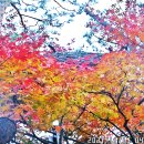 덕송천 이미지