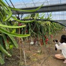 백용농장 이미지