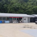 수영수산 이미지