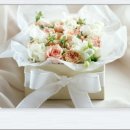 오월의수수꽃다리 이미지