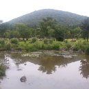 활력충전소
