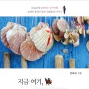 한효정 시인의 여행 에세이 『지금 여기 산티아고』 이미지