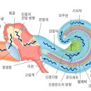 대전메디컬 이미지