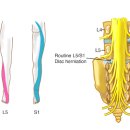 코끼리정형외과의원 이미지
