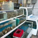 홀트로+현중로 이미지