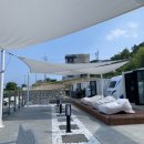 성지애견 이미지