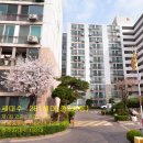 초원성원 이미지