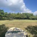 소피아그린골프장본관화장실 | 일본-미야코지마 3색 골프 / 아름다움과 느긋함이 공존하는곳/인생 라운딩 솔직후기