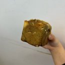 독정역 | 건강한 빵 찾는다면? 인천 호밀빵 맛집 빵집에정나지요 인천 독정역 검단 내돈내산 후기