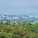 꿈동산놀이공원 다목적운동장 | 인천 가볼만한곳 월미도 놀거리 월미산 월미공원 놀이기구