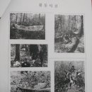 북면카 공업사 네이버블로그
