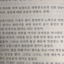 월매전