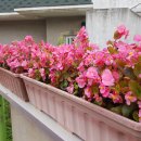 유석화유치원 이미지