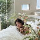 엣지헤어(EDGE HAIR) | [웨딩촬영 헤어변형] 무제한 헤어변형 헤일링헤어변형 아키스튜디오 내돈내산 찐후기