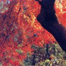 근곡천 | 田家四時(김극기). 愛閑亭八詠 爲朴益謙知謙作. 晩笑亭八詠. 花山別業 爲宋士誨賦八詠(이정구). 淸平...