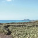 월령리 농어촌체험휴양마을 이미지