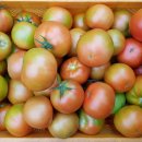 물안골농장 이미지