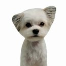 메모리멍 이미지